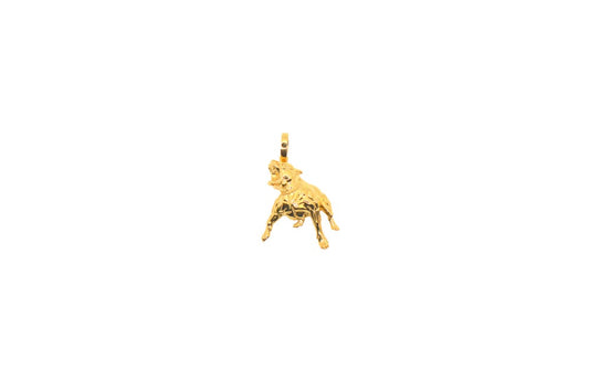 SO RUFF GOLD PENDANT
