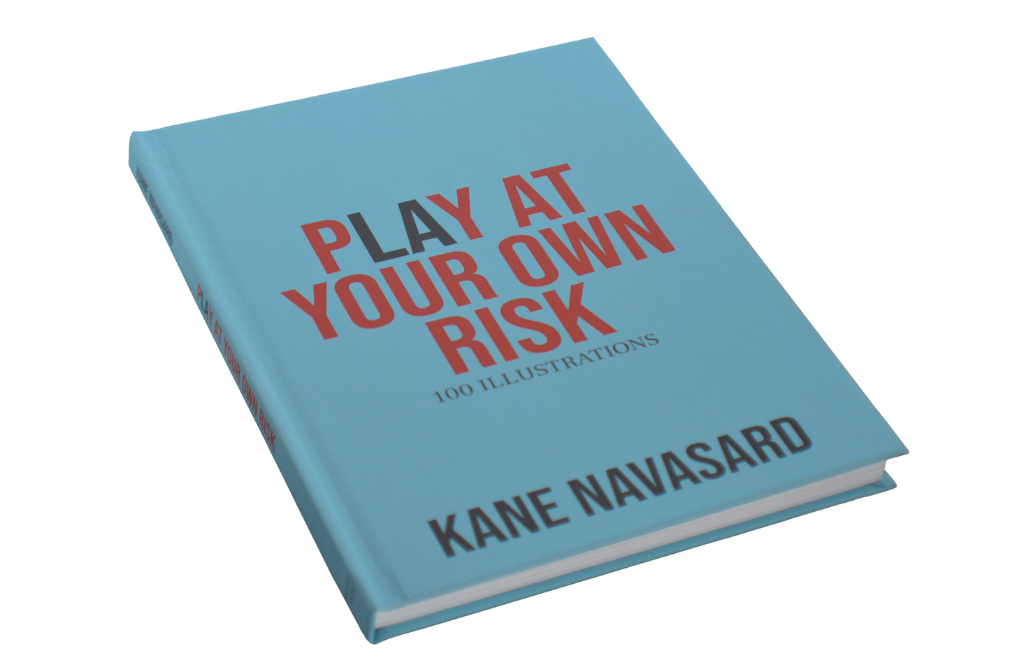 PLAY AT YOUR OWN RISK BOOK